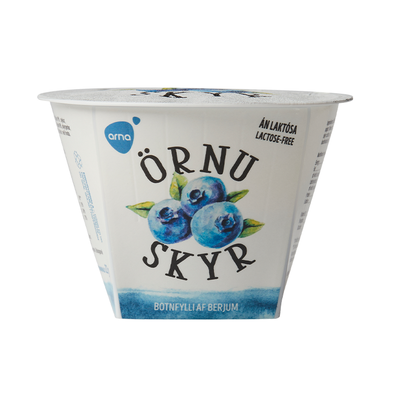 skyr botnfylli af blaberjum 800px